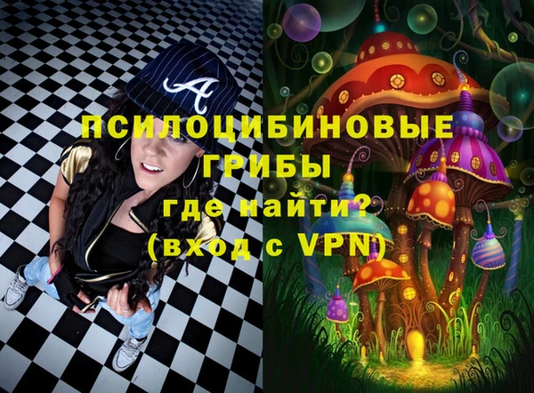 PSILOCYBIN Алексин
